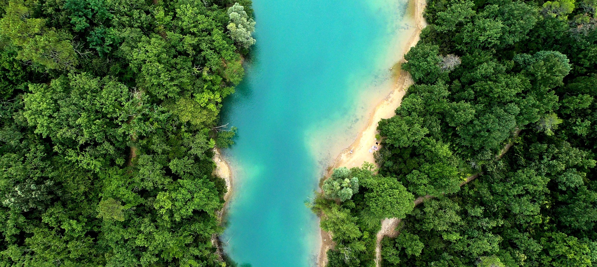 banner1